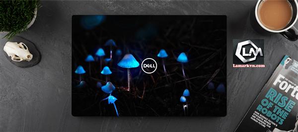Ảnh đại diện sản phẩm Dán skin laptop 3D D10