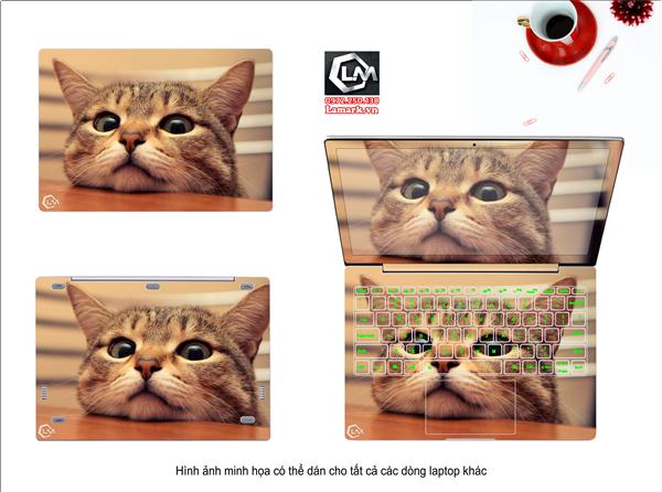 Ảnh đại diện sản phẩm Dán skin laptop mèo , boss , hoàng thượng X55